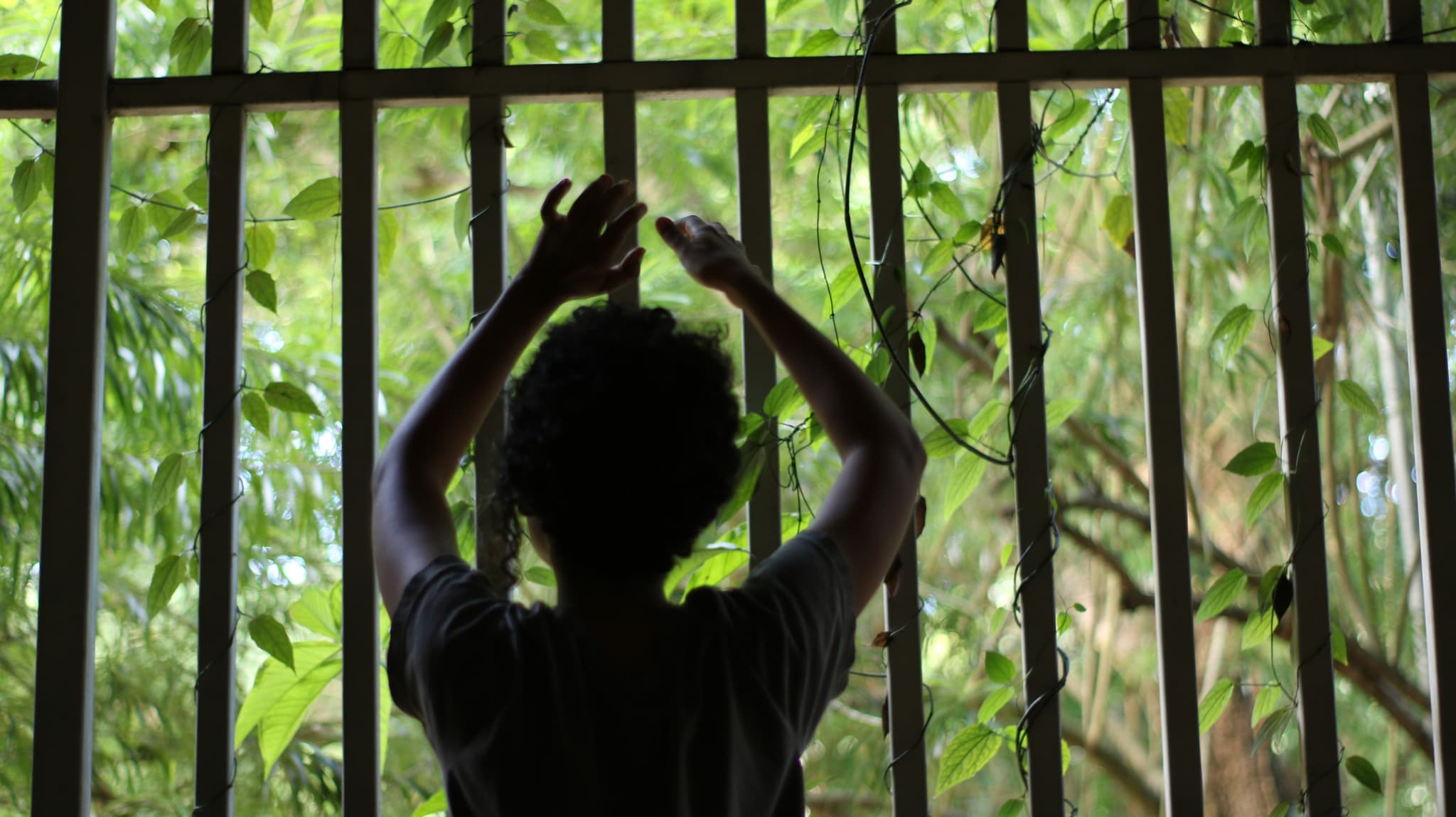 Still from "À beira do planeta mainha soprou a gente" shows a young woman standing with her back to the camera as she looks through the bars of a gate. She lifts her hands above her head, as if she is about to grasp the metal bars. Bright green vegetation can be seen through the gate.