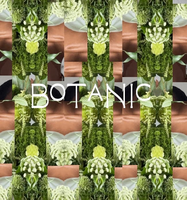 Botanic Village logo
