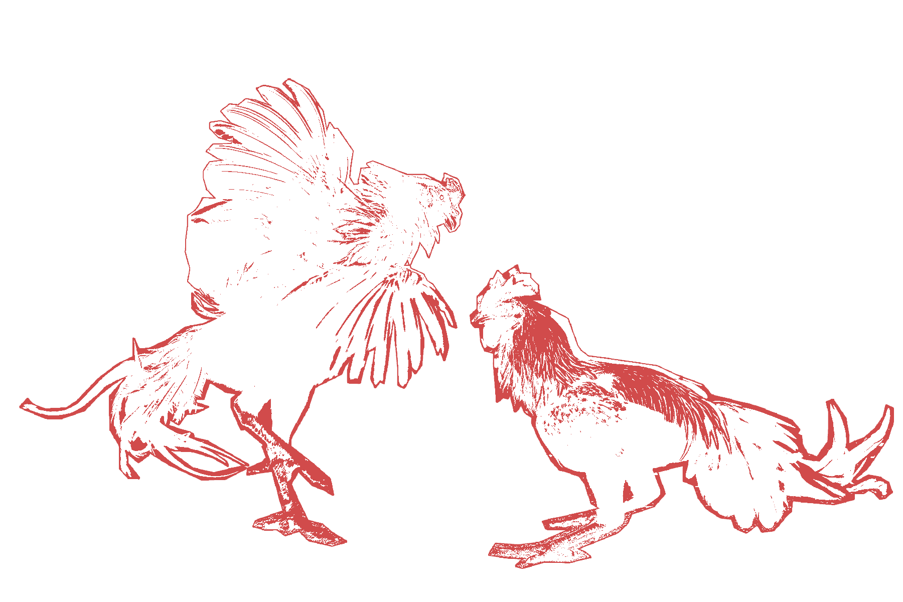 Illustration of two roosters drawn in red outline, facing off and fighting.