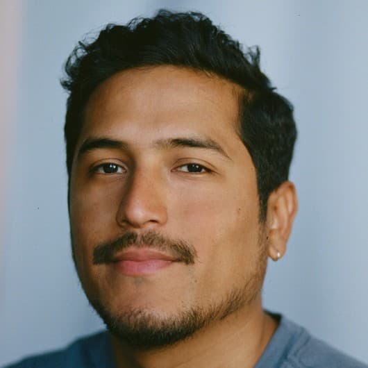 A photograph shows a portrait of Tomas Ponsteen.