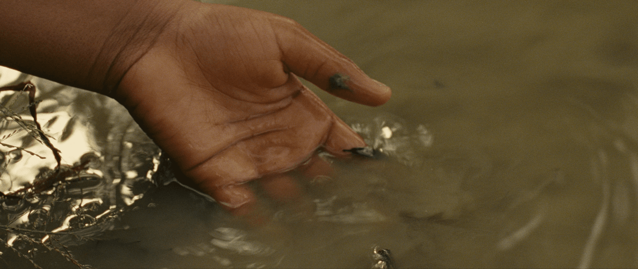 The hand of a child is dipped halfway into a murky, green, body of water. On the hand are pieces of dirt and little fish are approaching.