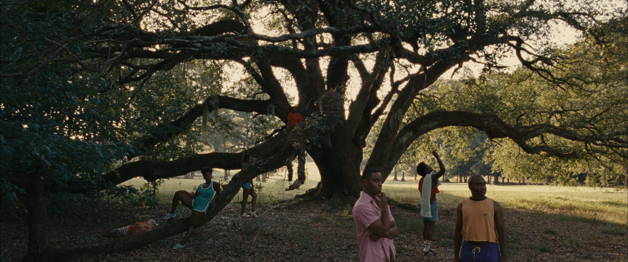 A large willow tree with many huge branches sits in a grassy field. People sit, scattered across the branches. They lounge along its length. In the foreground there are two people standing looking out at something in the distance.