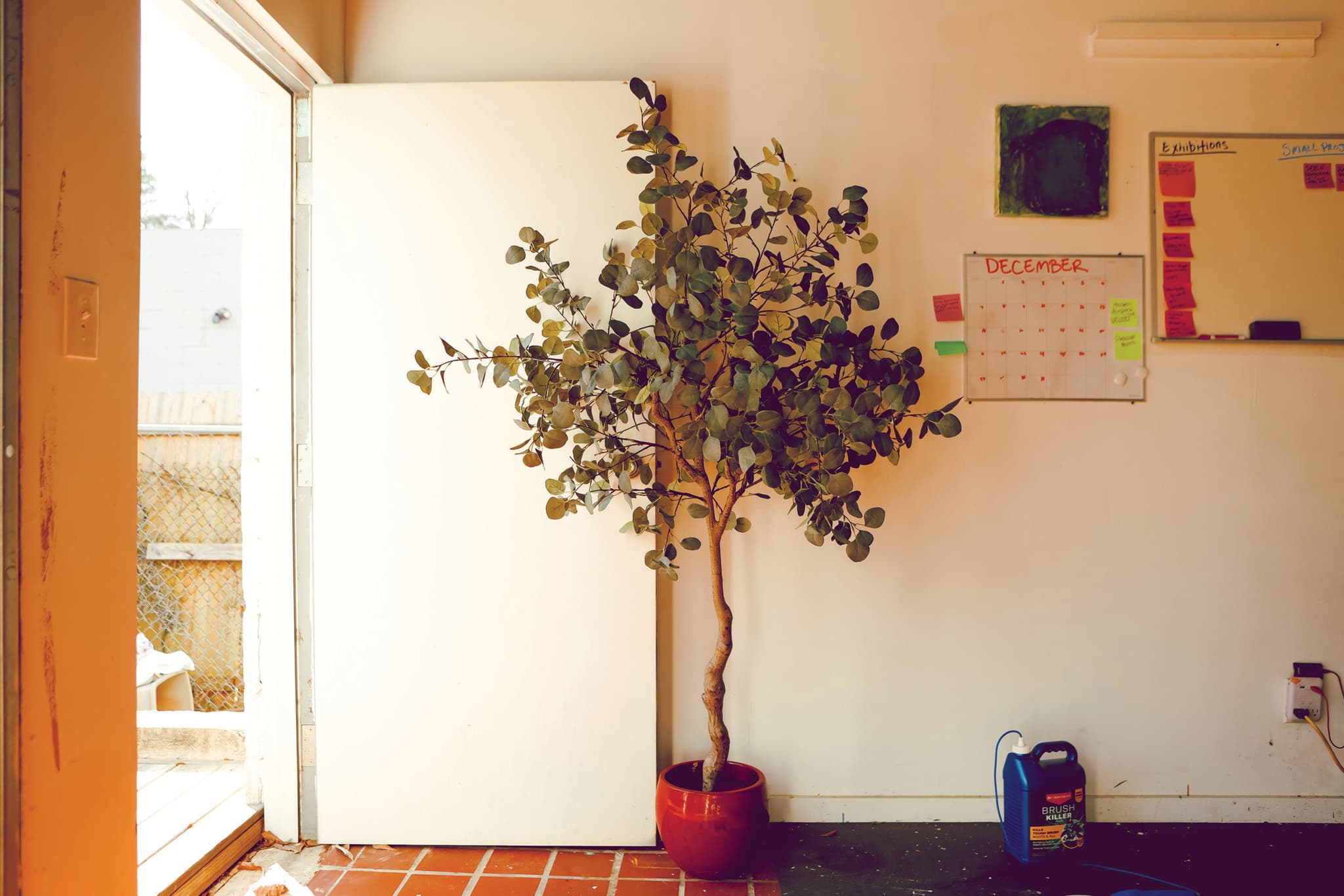 A plant sits near the doorway of Fahamu Pecou's art studio