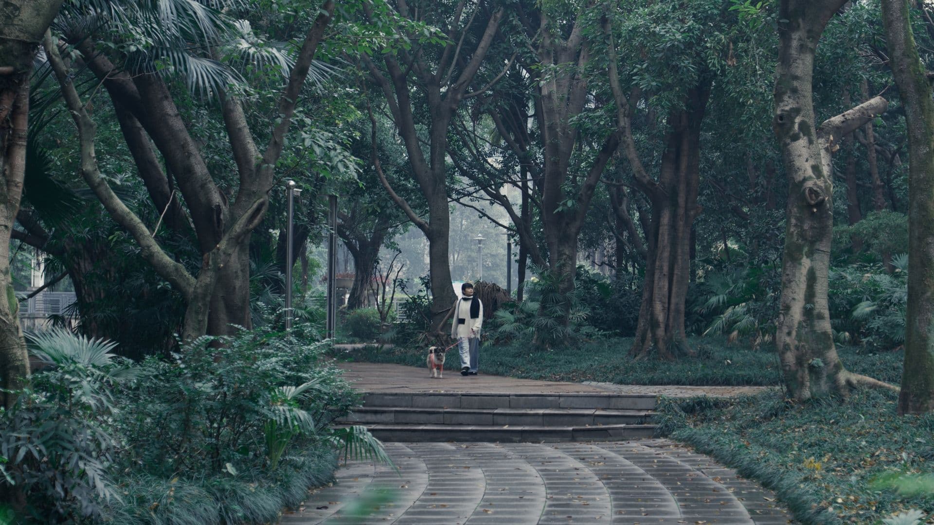 A film still from At the Stage When shows a young Chinese woman in the distance walking her dog along a tree-lined paved path on an overcast day.