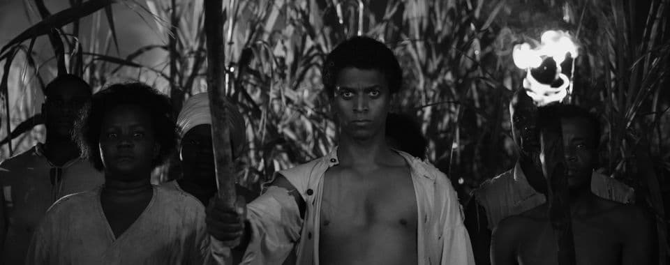 A black-and-white film still from Black Zombie shows a young Black man holding a torch. He’s wearing a ripped, unbuttoned white shirt. He is standing slightly in front of a group of Black men and women, including a woman on the left in a dirty white shirt and a man on the right with no shirt who is also holding a torch. They all stare forward grimly, with tall stalks of grass behind them.