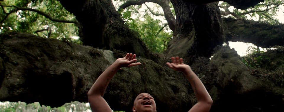 A film still from HomeGoing shows a Black man raising his hands above his head as he stands under a large, branching tree.