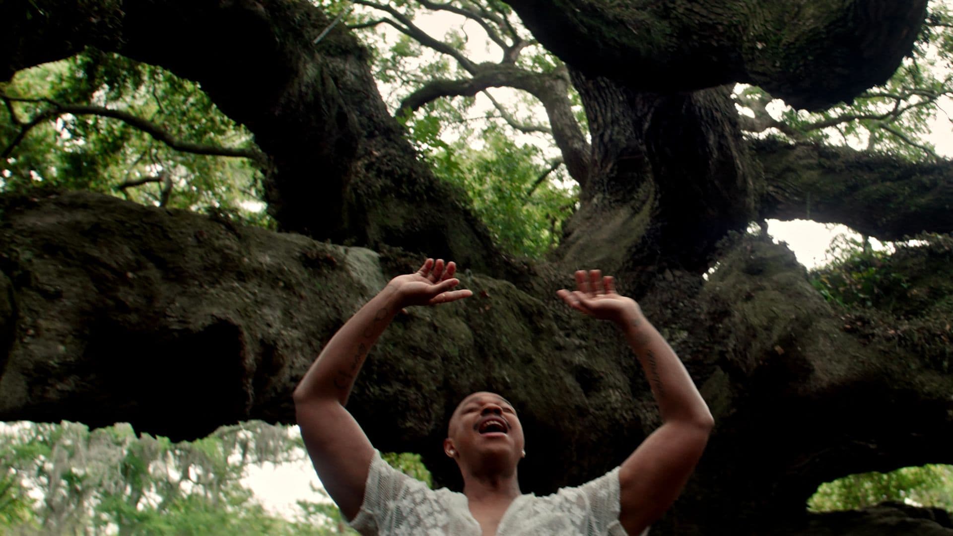 A film still from HomeGoing shows a Black man raising his hands above his head as he stands under a large, branching tree.