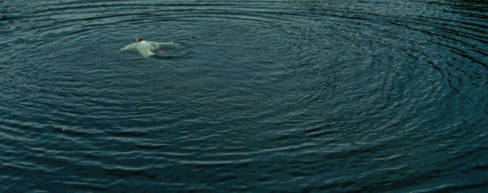 A film still from JESUS IS COMING (to take the Church away) shows a person in white clothing laying with their arms outstretched in a lake. The water is dark blue and there are ripples radiating out from the person.