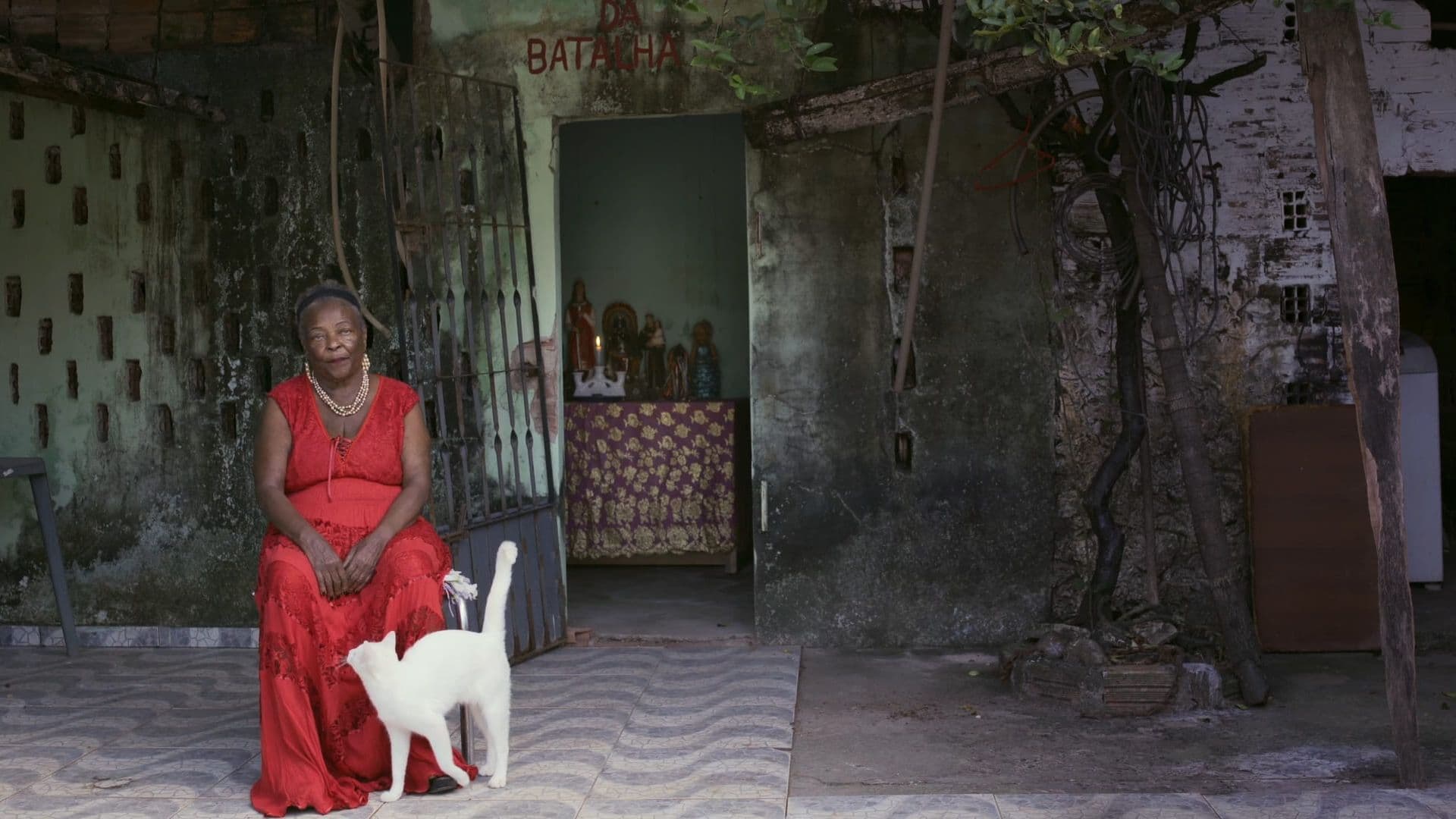 A film still from No Sunshine In Here shows an older Black woman in a red dress sitting in front of a run-down building. Behind the woman, there’s an open door revealing a table with statues and a candle. A white cat paces at the woman’s feet, looking up at her.