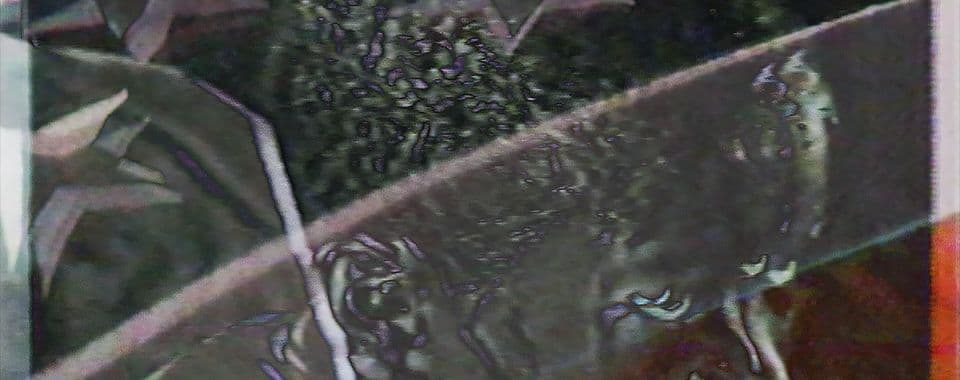 A film still from Remote Views shows a distorted image of a Black boy’s face with glitch-style and visual noise effects. Superimposed over the image is a translucent overlay of part of the American flag.