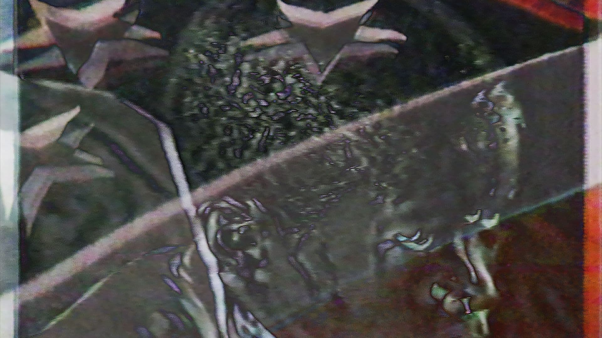 A film still from Remote Views shows a distorted image of a Black boy’s face with glitch-style and visual noise effects. Superimposed over the image is a translucent overlay of part of the American flag.