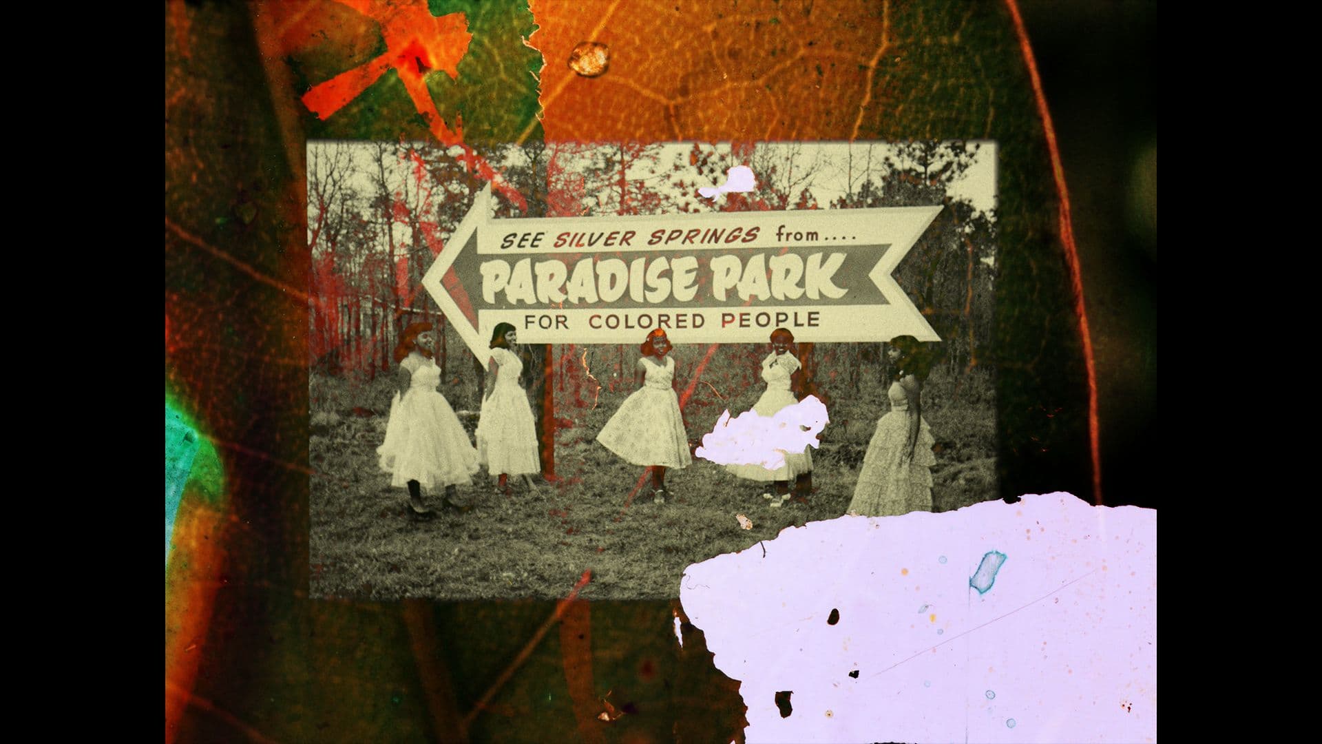 A film still from Same Water shows a black-and-white photo of five young Black women standing outdoors in poofy, patterned dresses beneath a large sign that reads, “See Silver Springs from…Paradise Park for Colored People.” The image is overlaid with a scan of a plant leaf painted in orange, green, and red.