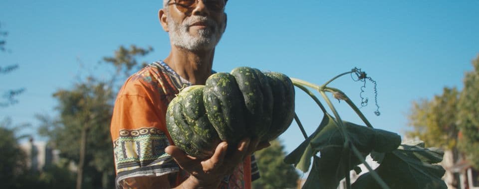 A film still from The Seeds We Carry shows an older Haitian man holding a green, speckled pumpkin in his right hand. The man wears a patterned orange shirt and tinted sunglasses. He stands in front of a large patch of grass blocked off from the street with a white fence.