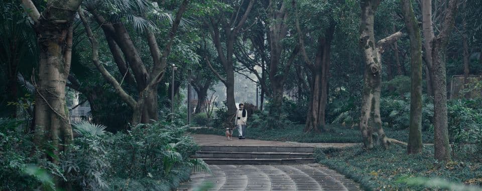 A film still from At the Stage When shows a young Chinese woman in the distance walking her dog along a tree-lined paved path on an overcast day.