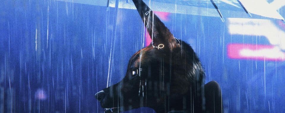 An animated film still from Bouchra shows an anthropomorphic jackal holding a clear umbrella while looking off to the left. The jackal is wearing a dark jacket as rain pours down and glowing billboards light up the city skyline in the background.
