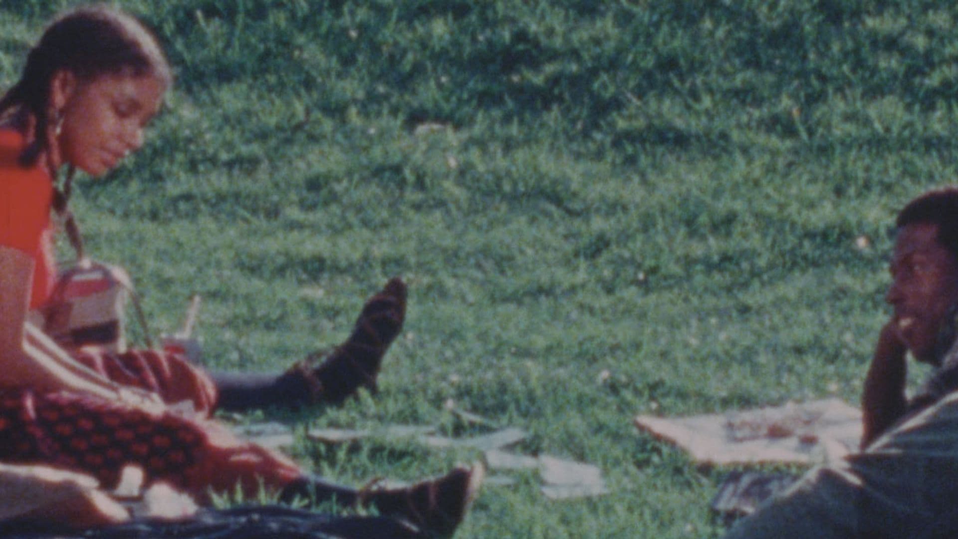 A film still from A Different Image shows a young Black woman and a young Black man sitting on the grass. The woman is sitting on the left, facing towards the man who is smiling at her. She is wearing an orange shirt, a red-patterned skirt, long black socks, and brown sandals. The man is lying on his side with his right hand propping up his face. He is wearing a blue plaid shirt and jeans.